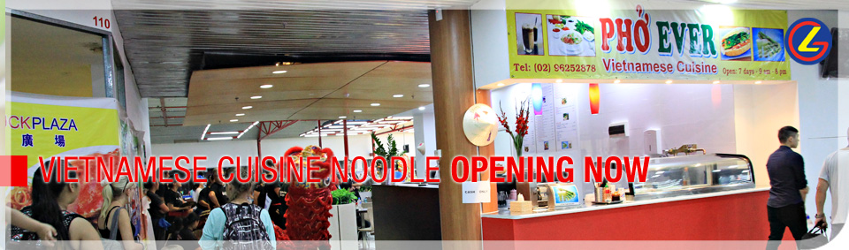 Vitnam-Rice-Noodle_opening